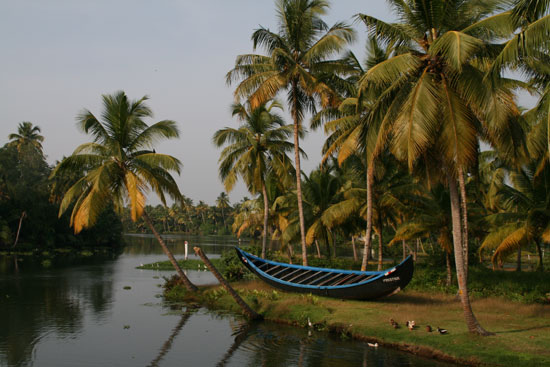 Kerala Backwaters Scenery