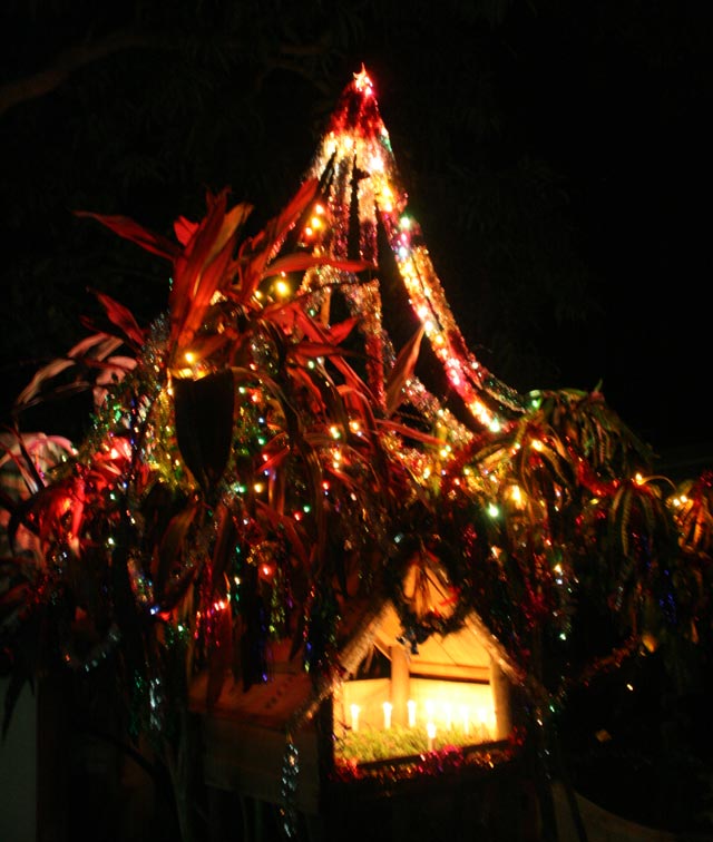 Kerala Christmas Tree