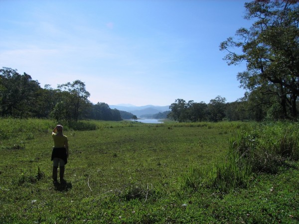 Periyar Wildlife Sanctuary