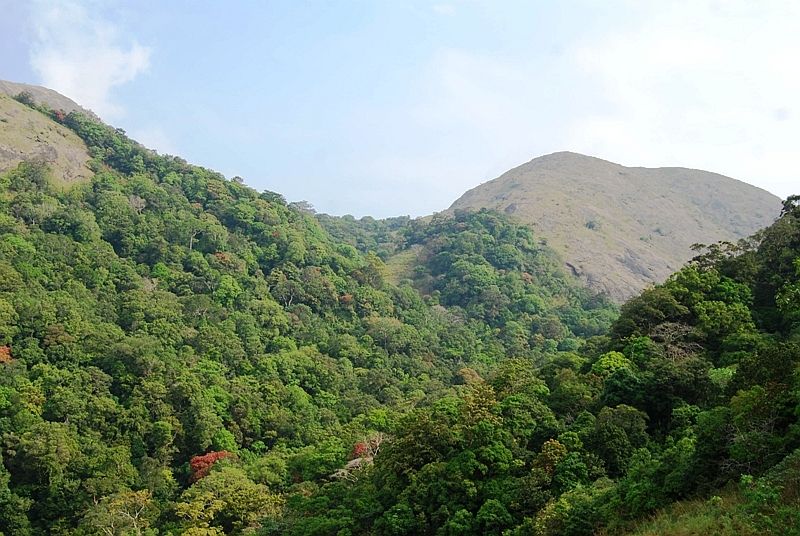 Nelliampathy Mountains. Photo by Kjrajesh